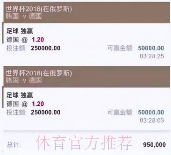 世界杯官方稳健投注平台